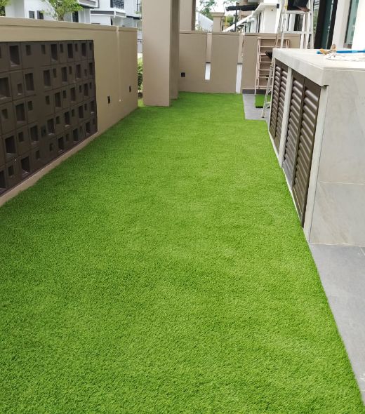 Green Carpet Grass
