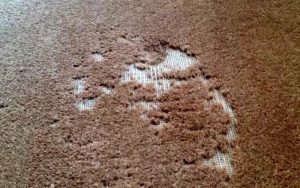 Visible Wear and Tear